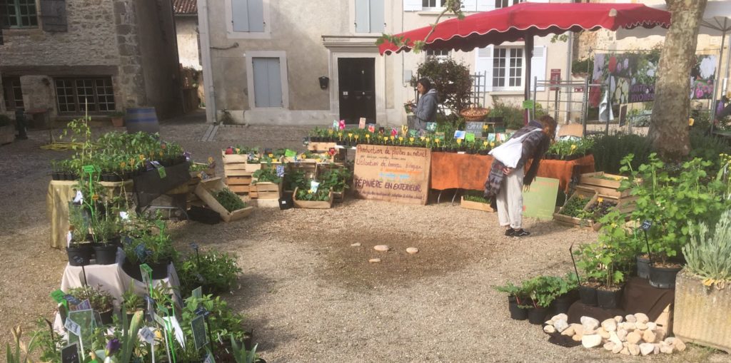 foire aux plantes st jean de côle